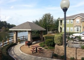 Apartment Rentals in The Woodlands, TX