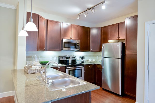 Upscale Apartment in The Woodlands area